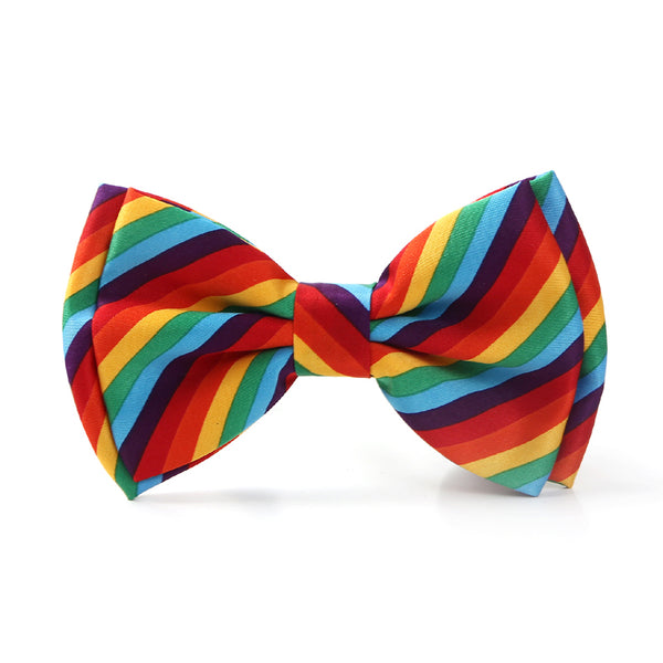 Amazing Rainbow Bowtie